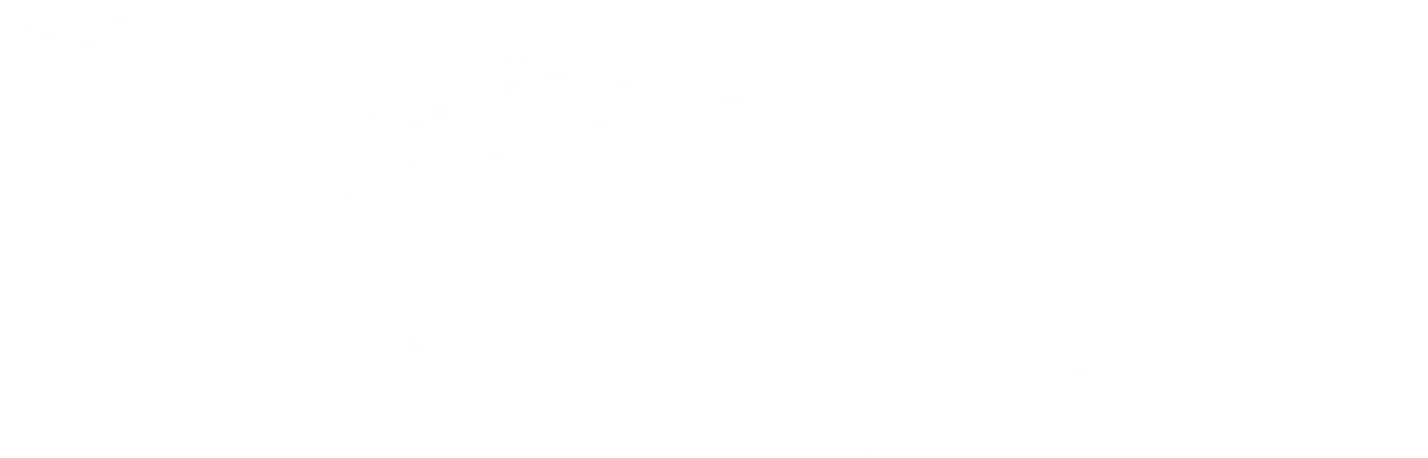 Cardinal Health Logo White